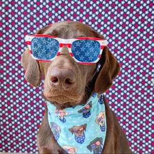 Meet your Posher, Kasey